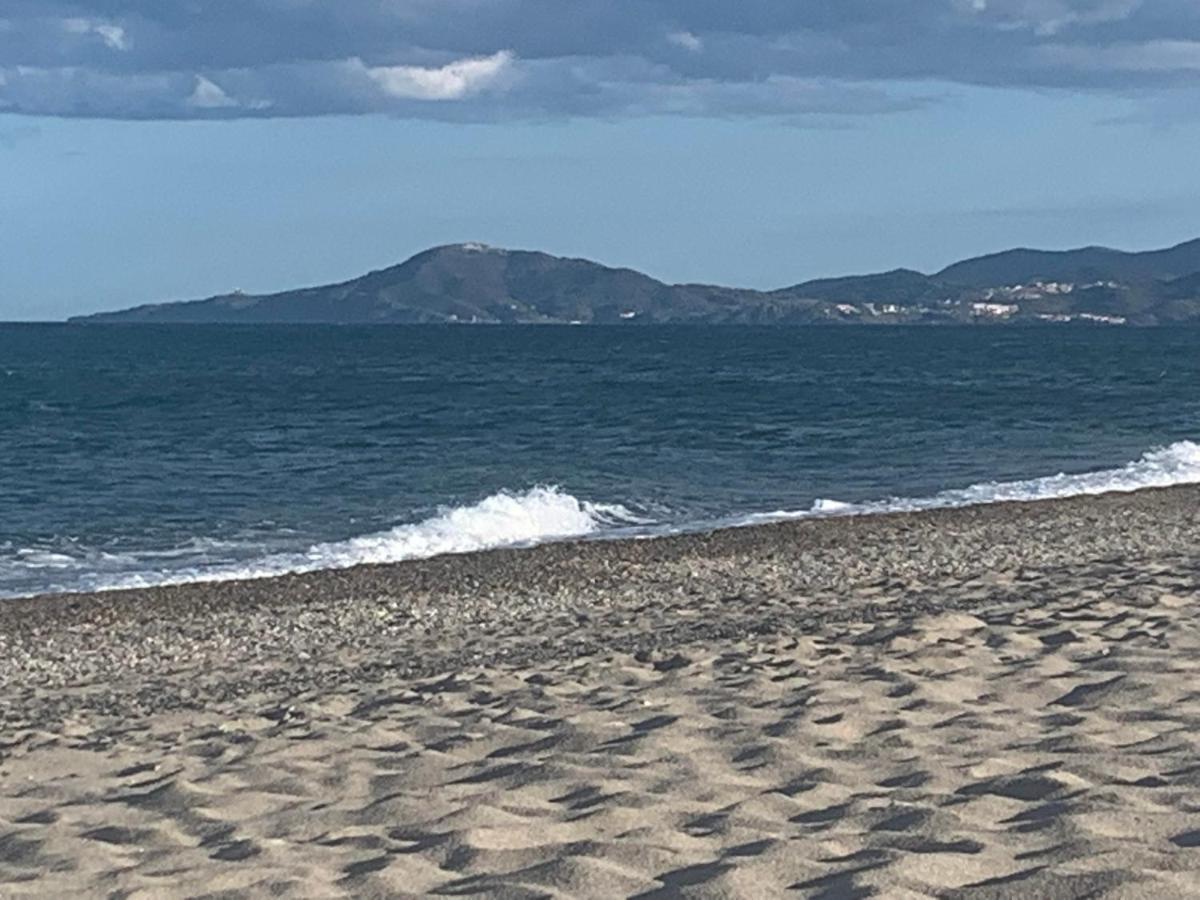 Tropique : Vue Et Piscine *